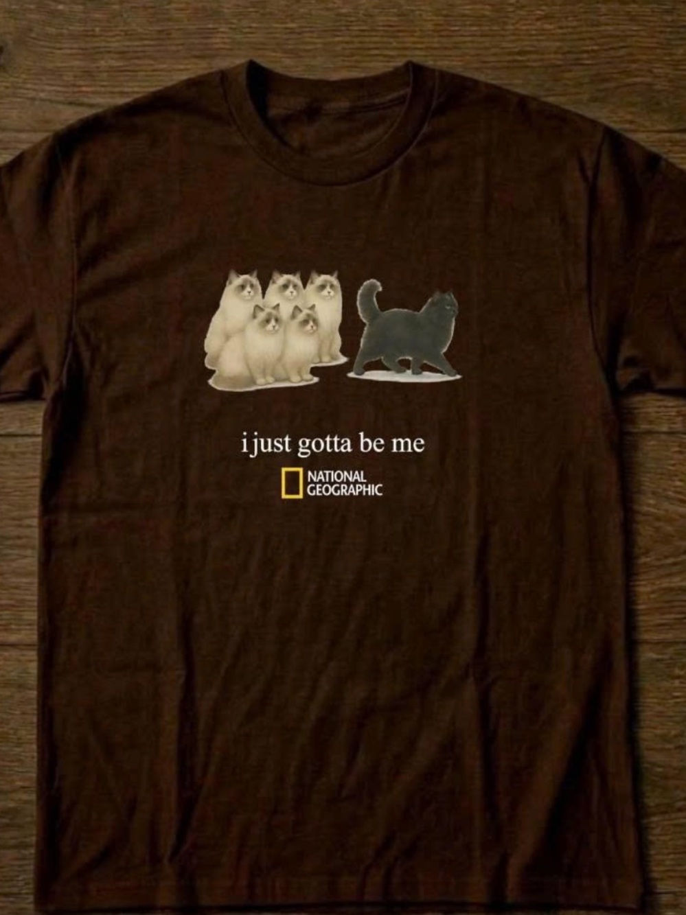 Brown Short-Sleeve Tee with Cat Trio Graphic